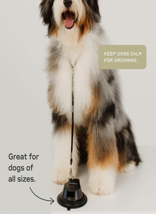 Pupwell Stay in Place and Heavy Duty Suction Cup Dog Leash to Keep Them in Place for Bath Time and Grooming with an Adjustable Loop - Image 4