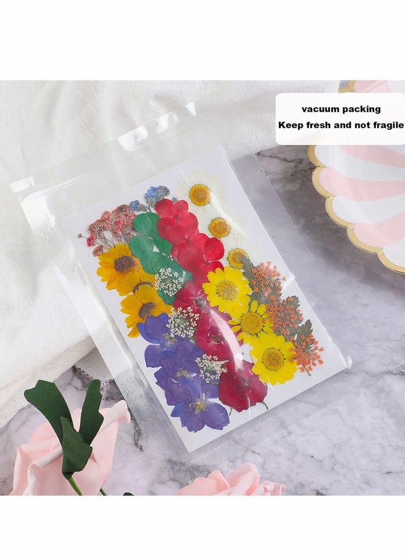 Excefore Natural Dried Flowers, Dried Pressed Flowers Leaves Petals for Crafts, Colorful Pressed Flowers Daisies for Candle Jewelry Nail Pendant Crafts Making, Decorative Dried Flowers (36 PCS) - Image 2