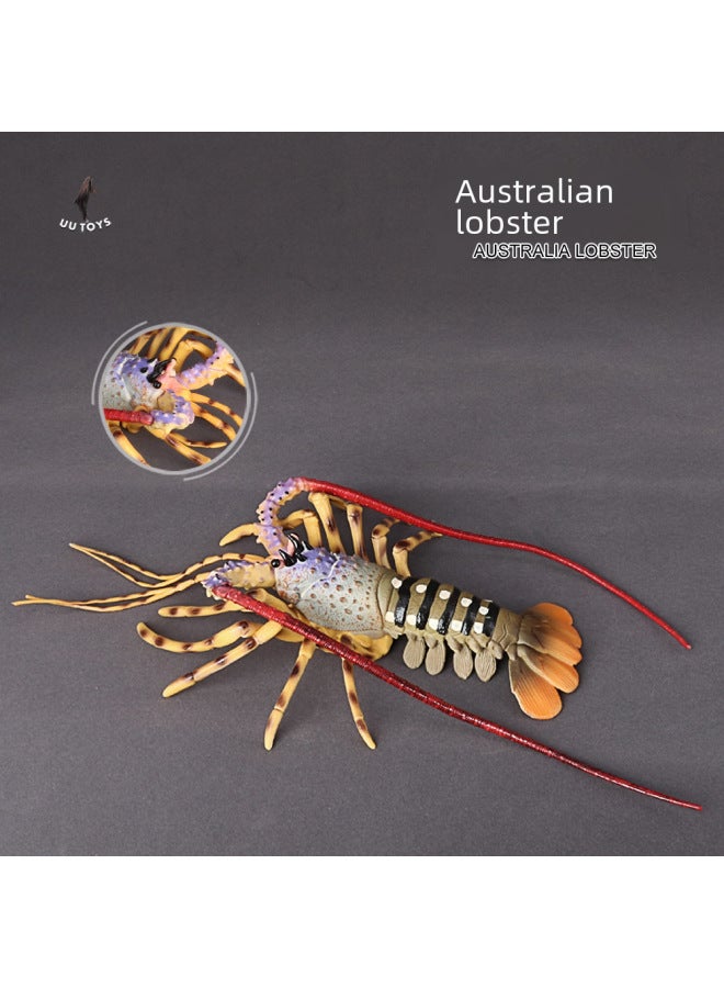 Simulation Marine Animal Model Marine Creatures Children's Toys Turtle Lobster Perch Shrimp Ancient Creatures Golden Dragon Fish-Color:PL127-572 Deng's Fish - Image 5