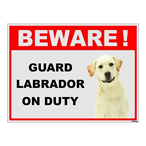 Clickforsign BOD-REF-BIGSB-7 Beware of Guard Dog Labrador On Duty Sign Board (300 x 225 mm) - Image 1