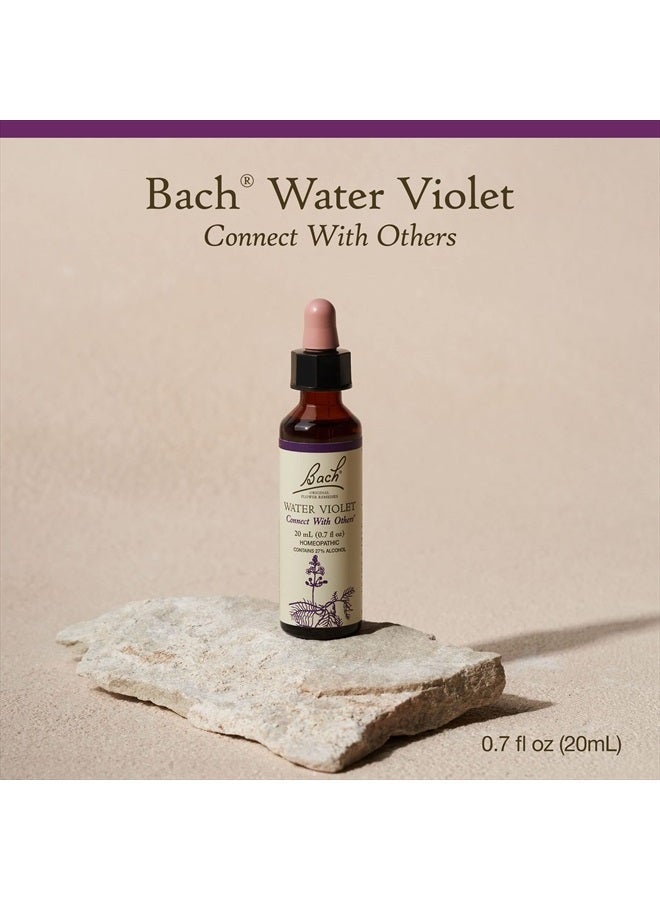 Bach Original Flower Remedies, Water Violet for Connecting with Others, Natural Homeopathic Flower Essence, Holistic Wellness and Stress Relief, Vegan, 20mL Dropper  - Image 2