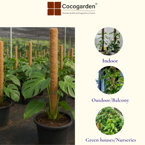 Cocogarden Coco Coir Pole Moss Stick Support Money Plants and housing Climber Plants, Height 2 Feet, Pack of 2 - Image 4