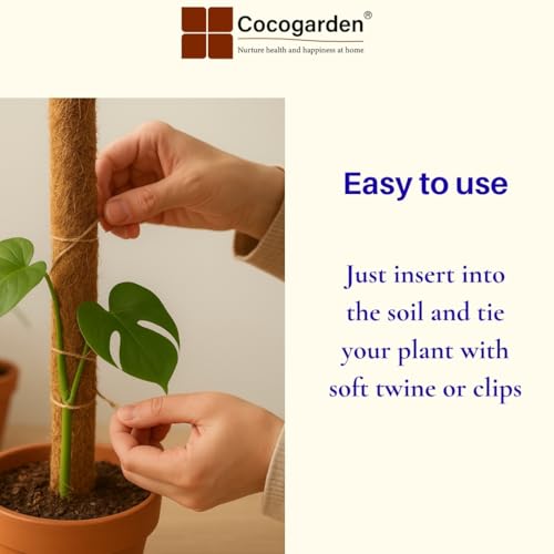 Cocogarden Coco Coir Pole Moss Stick Support Money Plants and housing Climber Plants, Height 2 Feet, Pack of 2 - Image 5