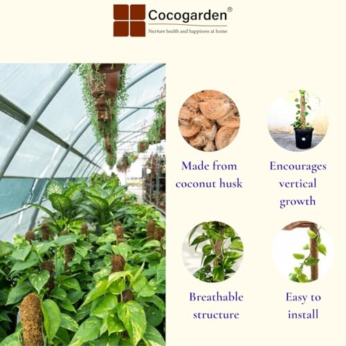 Cocogarden Coco Coir Pole Moss Stick Support Money Plants and housing Climber Plants, Height 2 Feet, Pack of 2 - Image 3