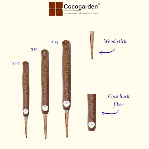 Cocogarden Coco Coir Pole Moss Stick Support Money Plants and housing Climber Plants, Height 2 Feet, Pack of 2 - Image 2