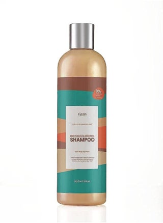 Moroccan Argan Repair Shampoo 500ML - pzsku/Z89D05EC515F7AF668B26Z/45/_/1733994937/31ad63bd-5619-4075-a941-95f4534ffe74