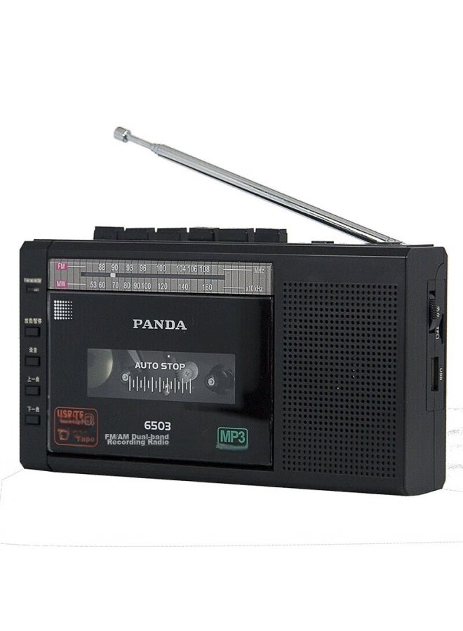 Panda مسجل كاسيت محمول باندا 6503، مشغل مدمج لكبار السن، متوافق مع فلاش USB وبطاقة الذاكرة، مشغل صغير للتسجيل، تعلم اللغة الإنجليزية لكبار السن، للاستخدام المنزلي، أسود - Image 2
