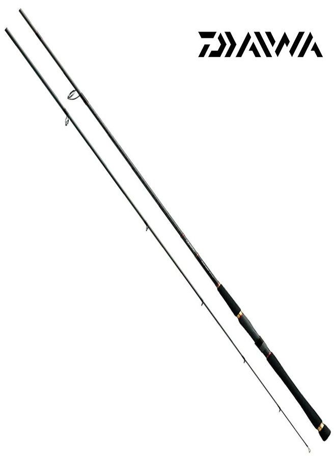 Daiwa DAIWA by ADVENTURE HQ 2 Pc Seabass Hunter X 100Mh 
