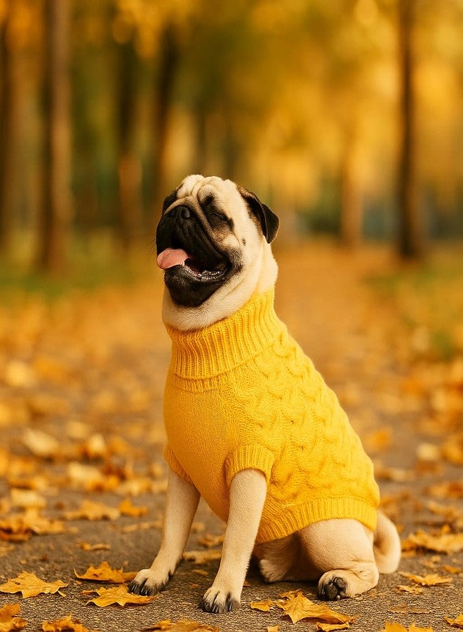 Zigly Lifestyle Winterized Buttercup Cable Knit Sweater for Dogs | Warm Knit Winter Sweater for Pets | Cozy Comfortable Cold Weather Dog Apparel | Large | 46cm - Image 3