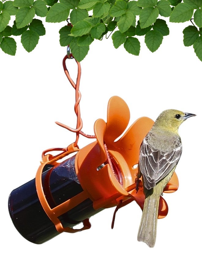 Songbird Essentials Jelly Bird Feeder, Oriole Feeder, Easy to Fill with Jelly or Jam, Plastic Jar Included. Fits Most 10-12 Ounce Jelly Jars - Image 1