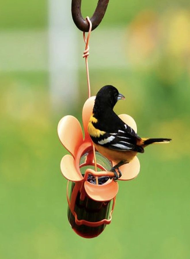 Songbird Essentials Jelly Bird Feeder, Oriole Feeder, Easy to Fill with Jelly or Jam, Plastic Jar Included. Fits Most 10-12 Ounce Jelly Jars - Image 4