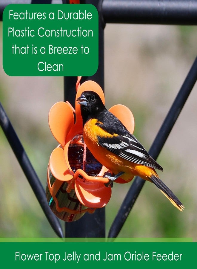 Songbird Essentials Jelly Bird Feeder, Oriole Feeder, Easy to Fill with Jelly or Jam, Plastic Jar Included. Fits Most 10-12 Ounce Jelly Jars - Image 2