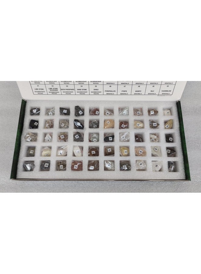 روكسمينز مجموعة Rocksmins من 50 عينة من الصخور والمعادن الطبيعية المختارة يدويًا (25 صخرة + 25 معدنًا) في صينية تخزين في صندوق ملون جميل عينات من الصخور والمعادن للجيولوجيا مجموعة علوم الأرض للفصول الدراسية - Image 3