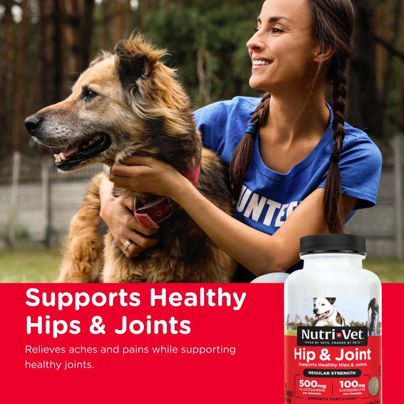 nutri vet Nutri-Vet Hip & Joint Regular Strength Joint Dog Supplements, Formulated with Glucosamine Chondroitin, Pet Supplies, Hip Supplement for Dogs, Glucosamine Chews, Puppy Essentials, 75 Count Chewables - Image 2