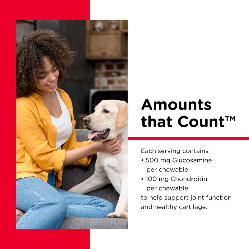 nutri vet Nutri-Vet Hip & Joint Regular Strength Joint Dog Supplements, Formulated with Glucosamine Chondroitin, Pet Supplies, Hip Supplement for Dogs, Glucosamine Chews, Puppy Essentials, 75 Count Chewables - Image 3