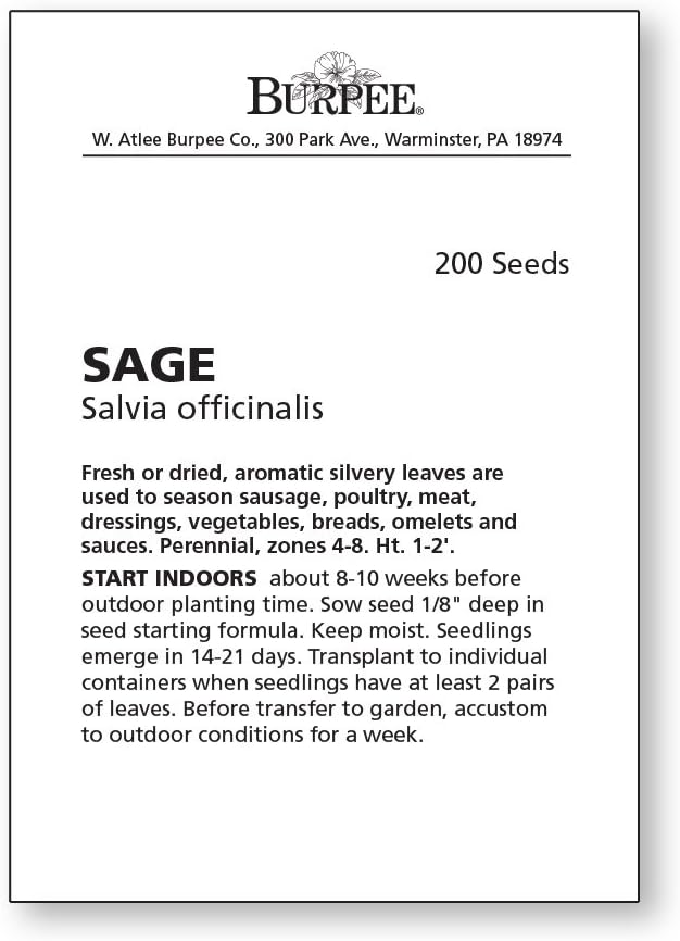 Burpee Sage Seeds - Image 4