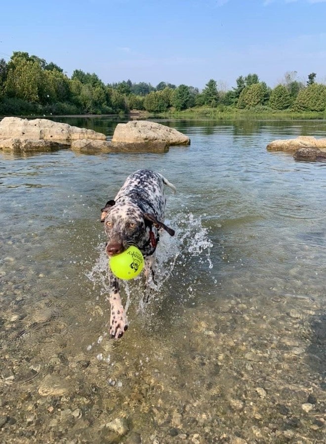 Spunky pup Fetch & Glow Ball Medium, (Assorted) - Image 4