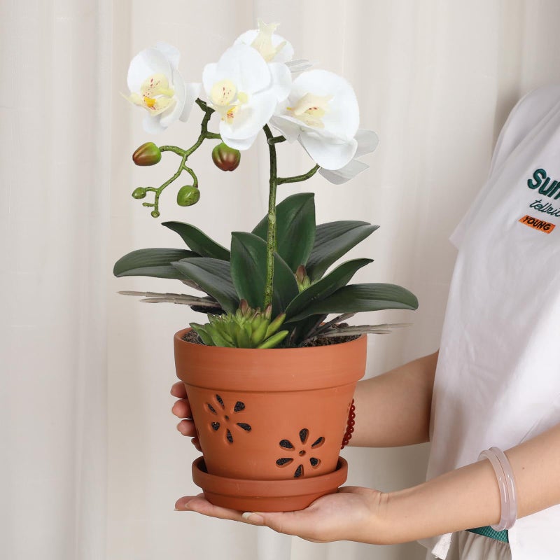 JUXYES Pack of 3 Small Terracotta Orchid Pot with Holes and Saucers, 6 Inches Clay Orchid Planter Pots for Repotting, Plant Flower Pots for Orchid Indoor and Outdoor Promotes Air Circulation - Image 3