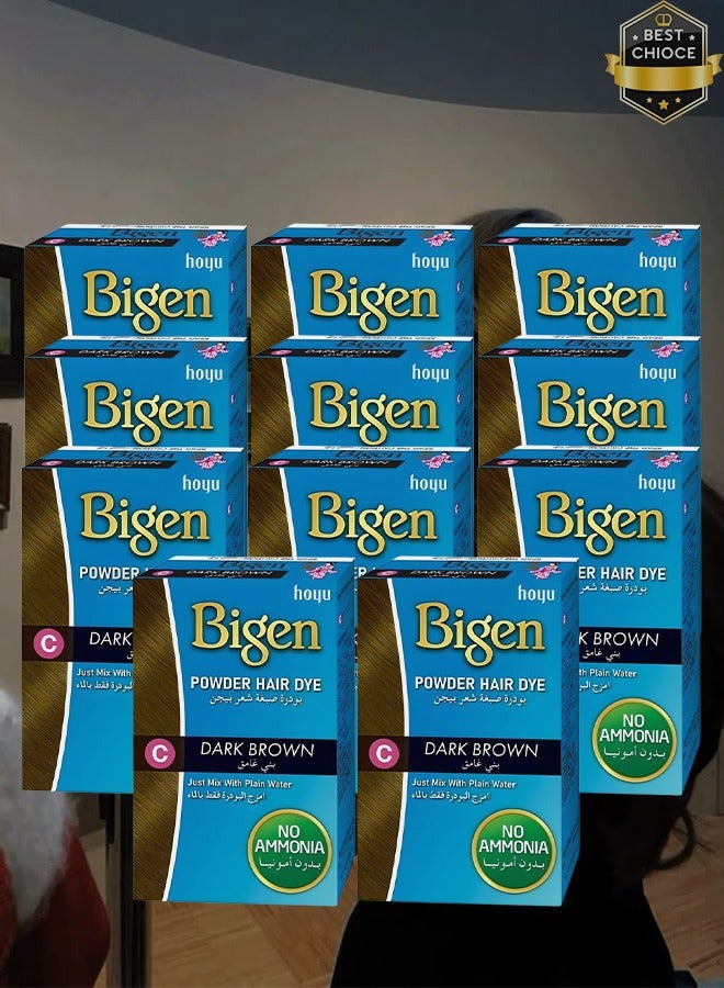 بايجن 11 قطع بودرة صبغ الشعر باللون البني الداكن مع الماء العادي بدون أمونيا 6 جرام - Image 1
