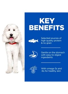 Hill's Hypoallergenic Medium Breed Adult Dog Food Salmon - 12 KG  - Image 2