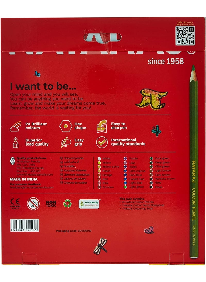ناتاراج أقلام تلوين ناتاراج، 24 قطعة، متعددة الألوان - Image 4