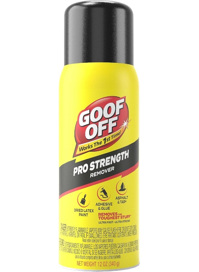 Goof Off FG658 Professional Strength Remover, Aerosol 12-Oun - Image 1