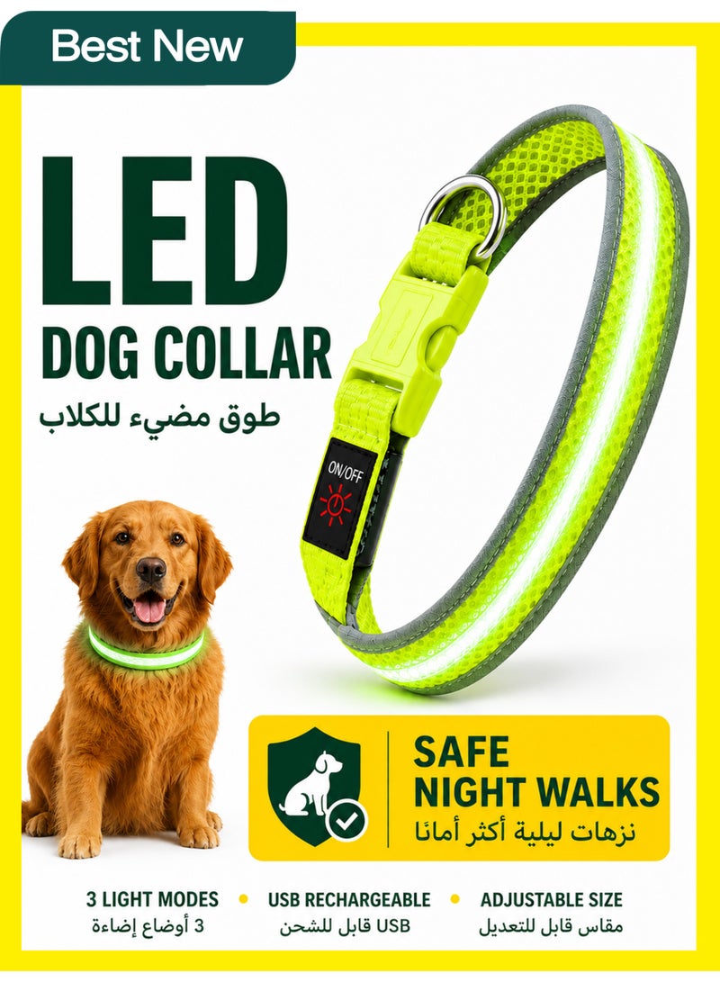 1 طابق سرداب طوق LED مضيء للكلاب قابل للشحن عبر USB، مقاوم للماء بنسبة 100%، قابل للتعديل، بإضاءة أمان فائقة السطوع للكلاب - Image 1