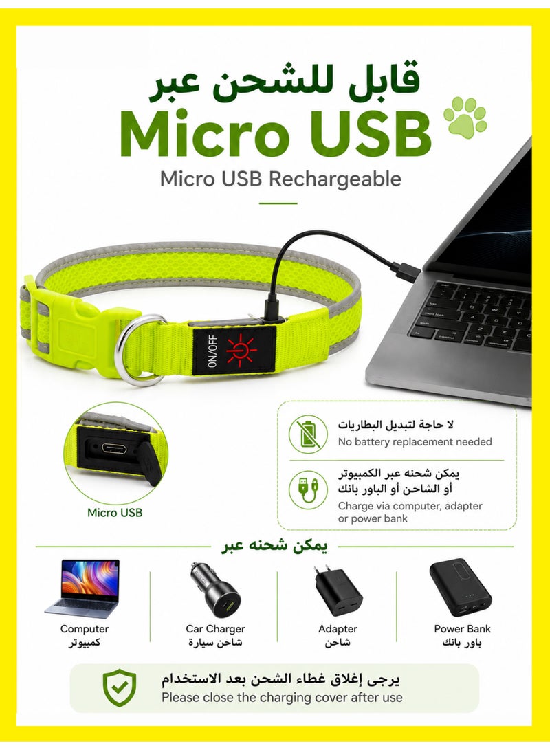 1 طابق سرداب طوق LED مضيء للكلاب قابل للشحن عبر USB، مقاوم للماء بنسبة 100%، قابل للتعديل، بإضاءة أمان فائقة السطوع للكلاب - Image 4