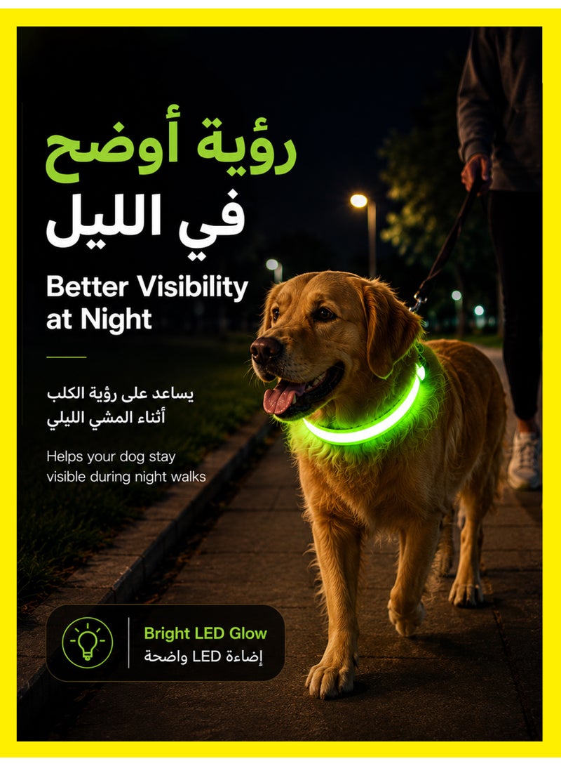 1 طابق سرداب طوق LED مضيء للكلاب قابل للشحن عبر USB، مقاوم للماء بنسبة 100%، قابل للتعديل، بإضاءة أمان فائقة السطوع للكلاب - Image 2