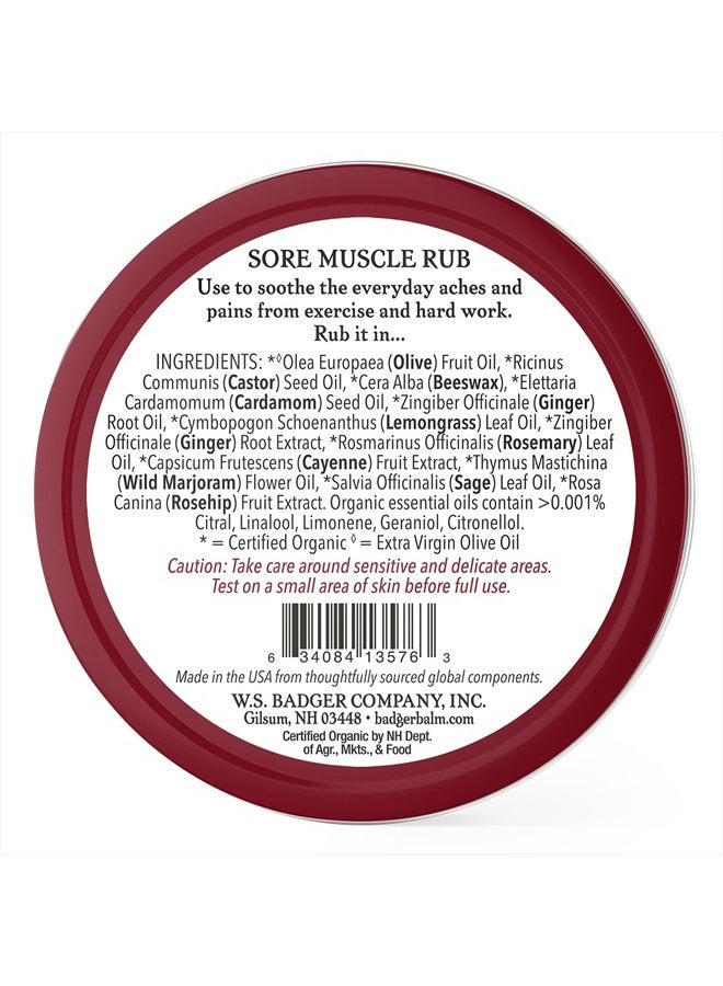 Badger مرهم العضلات المؤلمة، فلفل حار وزنجبيل، مرهم عضلات مؤلم عضوي، بلسم دافئ، بلسم تخفيف العضلات، مرهم عضلات دافئ، بلسم عضلات مؤلم، 2 أونصة - Image 2
