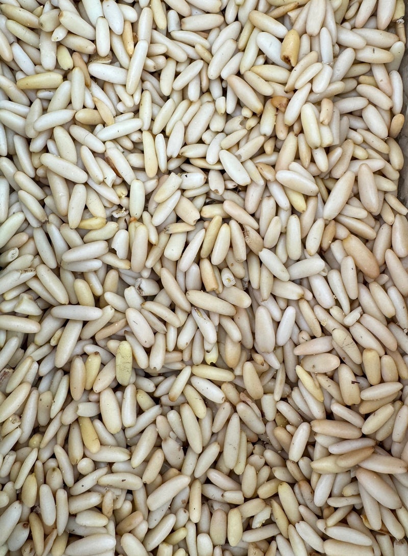 لب الصنوبر 500 جرام - Image 3