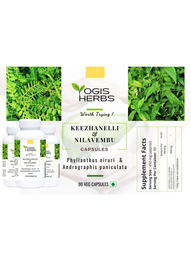YOGIS HERBS Keezhanelli & Nilavembu Capsules | Phyllanthus niruri & Andrographis paniculata Blend | Liver & Immune Support - 90 Veg Capsules - Image 2