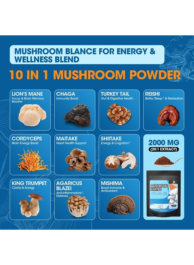 B BEWORTHS قهوة الفطر من بي بيوورثس، مسحوق قهوة الفطر مع أشواغاندا، إل-ثيانين، ذيل الأسد، ريشي، تشاجا، كورديسيبس، ذيل الديك الرومي، جنسنغ - قهوة عربية سريعة التحضير لدعم المناعة، الدماغ، والتركيز - Image 2