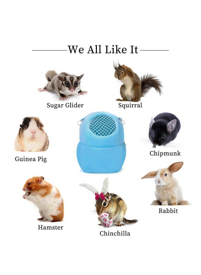 WishLotus Pet Carrier Bag, Portable Outgoing Travel Handbags With Nylon Straps Small Pet Pouchfor Hamster Rat Hedgehog Rabbit (S, Blue)  - Image 4