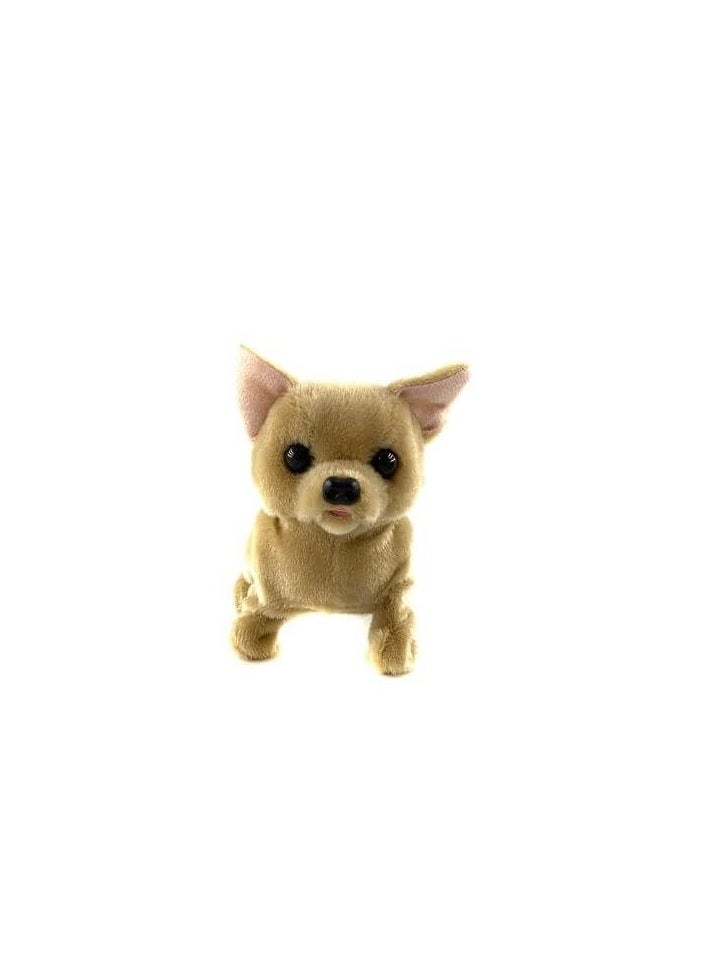 PUGS AT PLAY Plugs at Play - Chili the Chihuahua  - Image 2