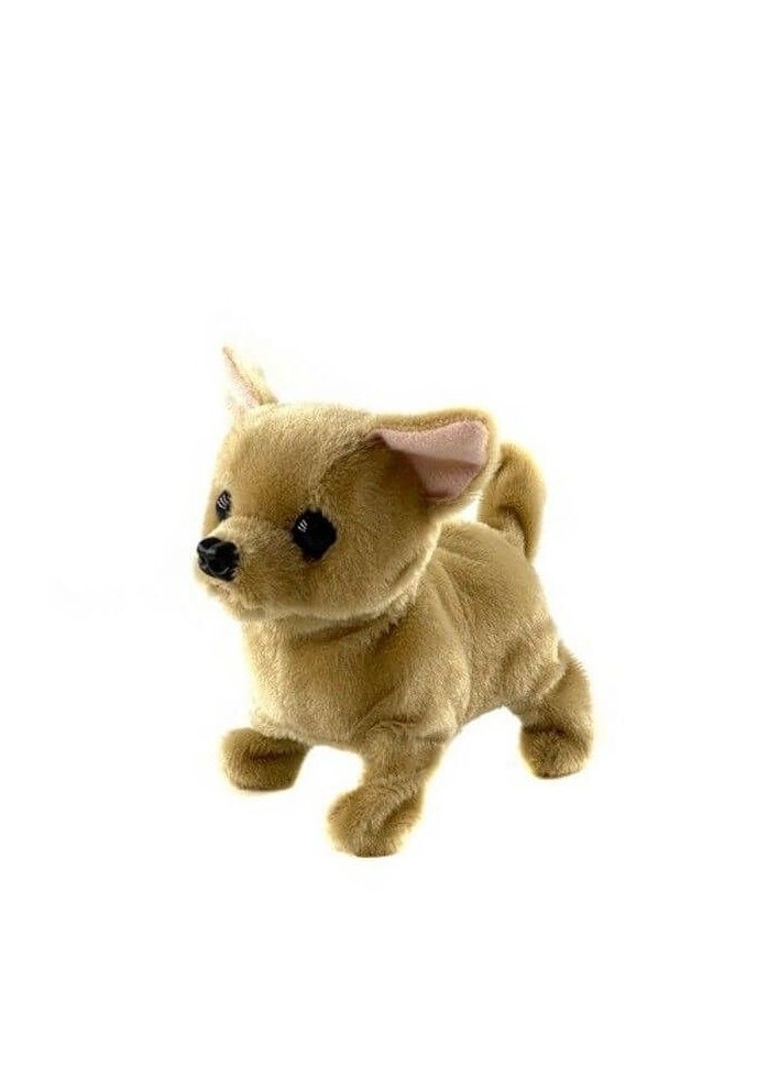 PUGS AT PLAY Plugs at Play - Chili the Chihuahua  - Image 1