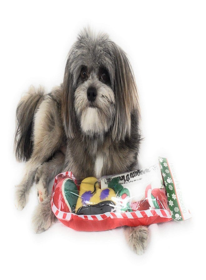 Massca Christmas Dog Stocking Toys. Pack Assorted with Squeaker Inside of Newspaper Toy, Squeaky Boot, a red, Green & White Tennis Ball & red White & Green Knotted Rope Xmas Toy. Small Medium Large Breeds - Image 4