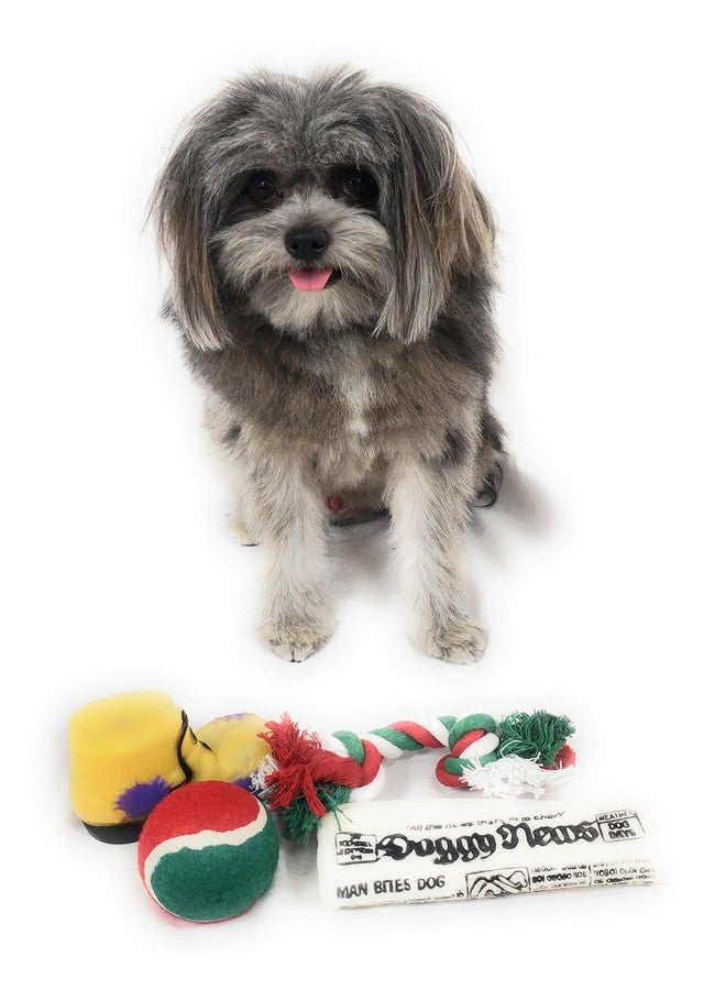 Massca Christmas Dog Stocking Toys. Pack Assorted with Squeaker Inside of Newspaper Toy, Squeaky Boot, a red, Green & White Tennis Ball & red White & Green Knotted Rope Xmas Toy. Small Medium Large Breeds - Image 3