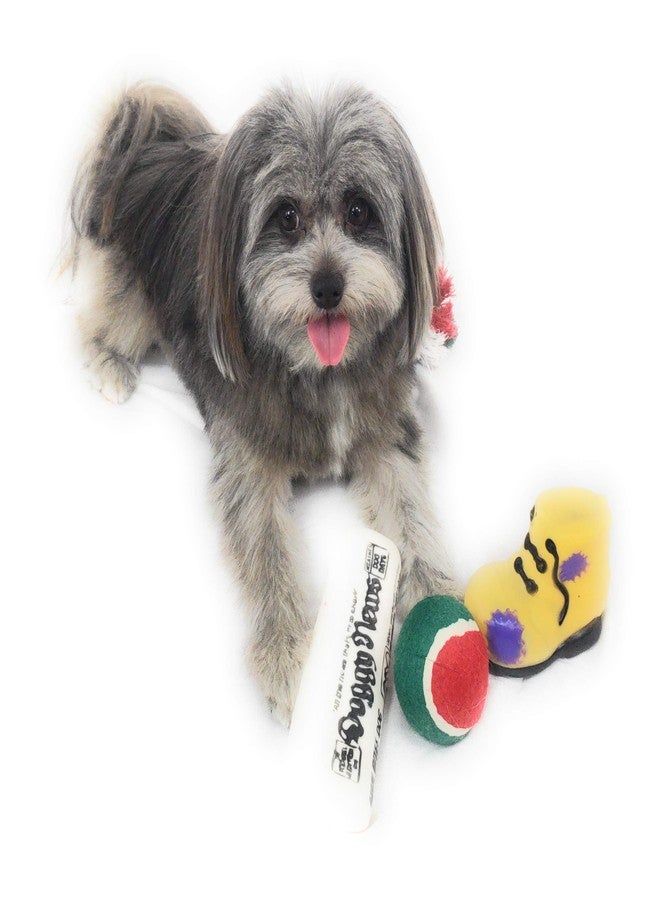 Massca Christmas Dog Stocking Toys. Pack Assorted with Squeaker Inside of Newspaper Toy, Squeaky Boot, a red, Green & White Tennis Ball & red White & Green Knotted Rope Xmas Toy. Small Medium Large Breeds - Image 5