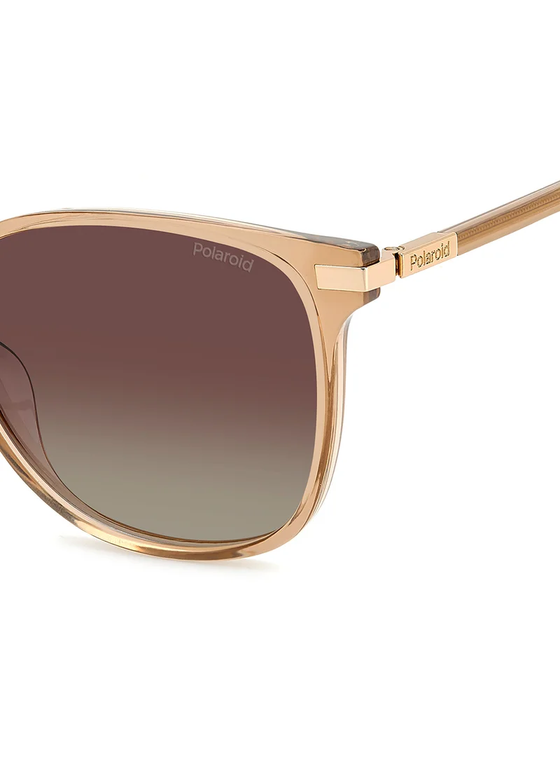 Polaroid Pld 4170/G/S/X Oversized Sunglasses