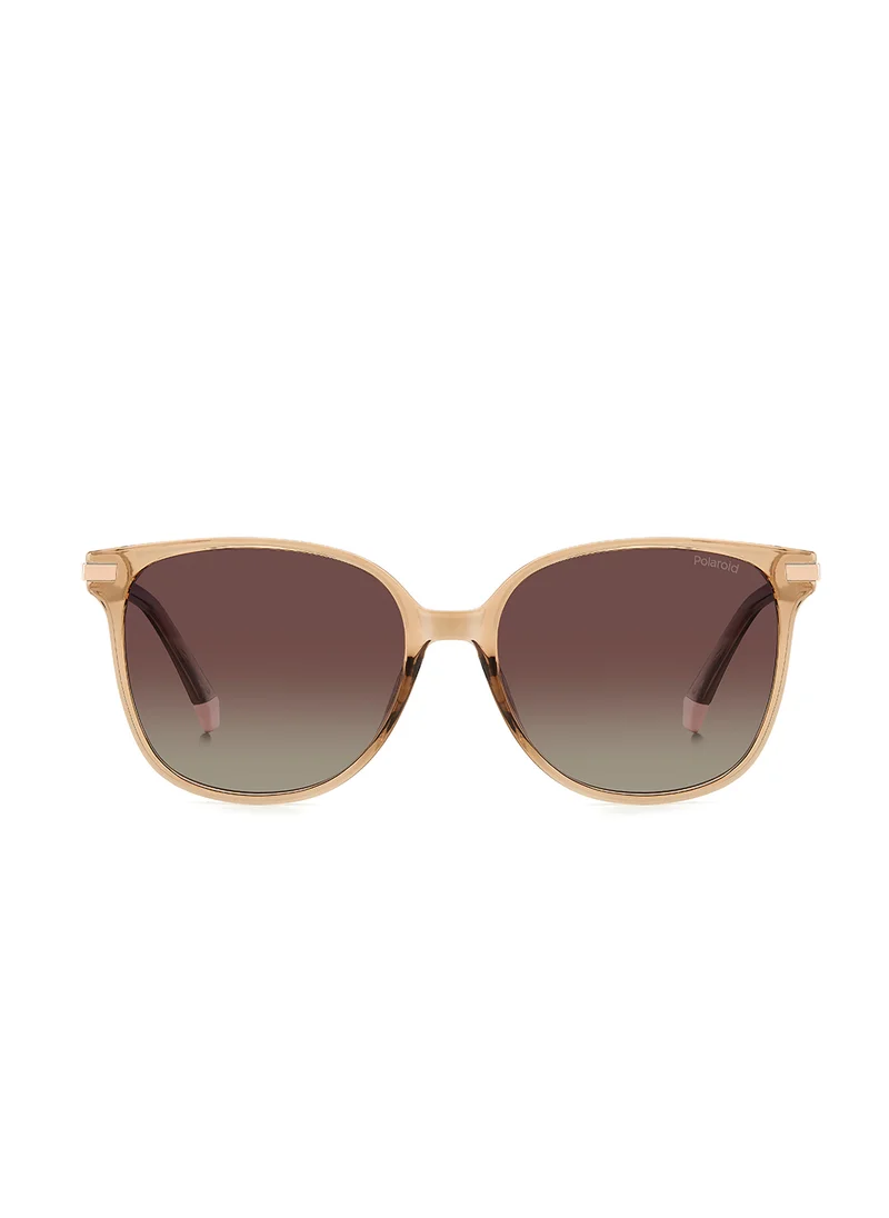 Polaroid Pld 4170/G/S/X Oversized Sunglasses