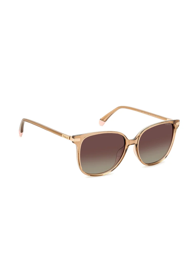 Polaroid Pld 4170/G/S/X Oversized Sunglasses