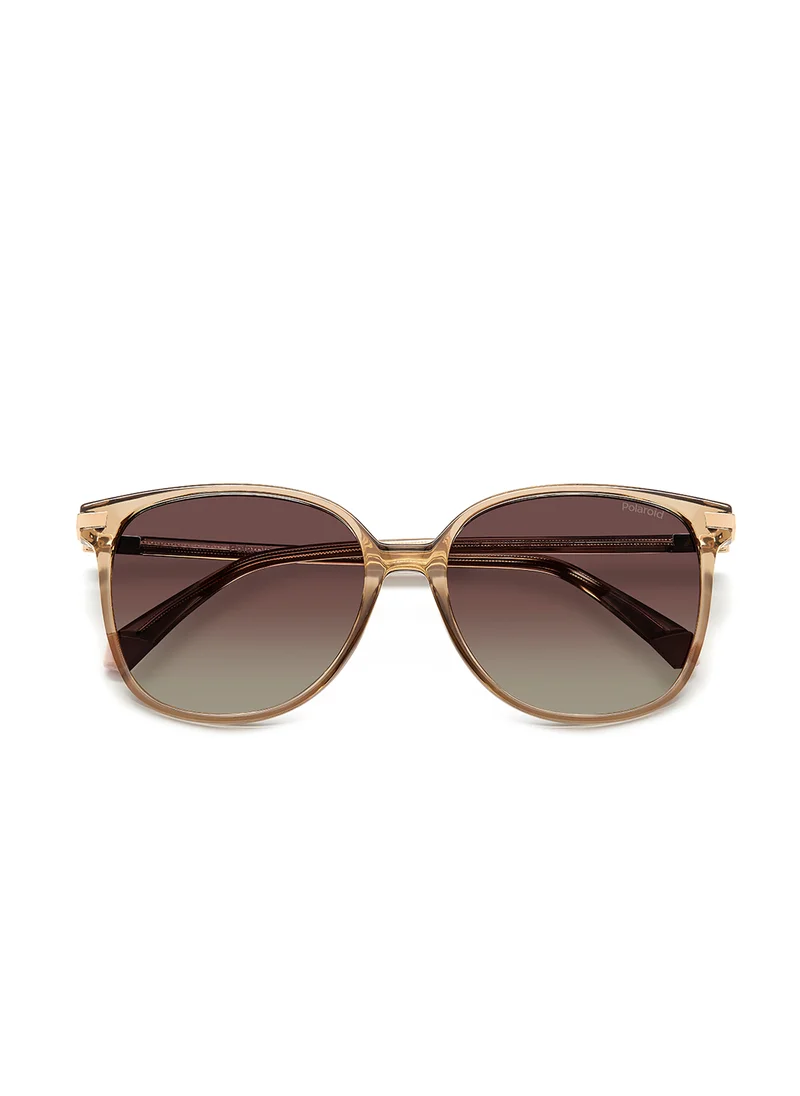 Polaroid Pld 4170/G/S/X Oversized Sunglasses