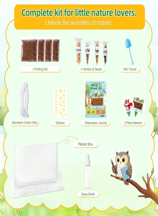 TitaniX Root Viewer Kit for Kids with 4 Seed Varieties, STEM Science Toy & Craft Growing Kits for Boys & Girls, Grow Your Own Plant for Ages 4-8 Birthday Gifts for Boy,4, 5, 6, 7, 8, Year Old - Image 2