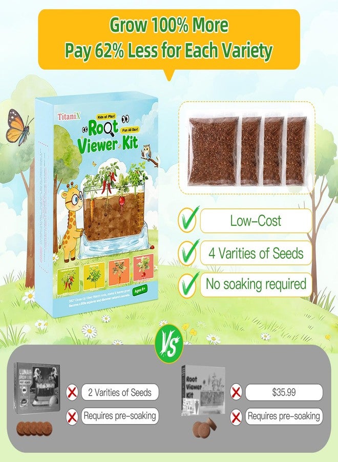 TitaniX Root Viewer Kit for Kids with 4 Seed Varieties, STEM Science Toy & Craft Growing Kits for Boys & Girls, Grow Your Own Plant for Ages 4-8 Birthday Gifts for Boy,4, 5, 6, 7, 8, Year Old - Image 3