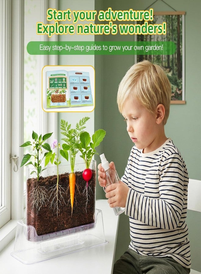 TitaniX Root Viewer Kit for Kids with 4 Seed Varieties, STEM Science Toy & Craft Growing Kits for Boys & Girls, Grow Your Own Plant for Ages 4-8 Birthday Gifts for Boy,4, 5, 6, 7, 8, Year Old - Image 5