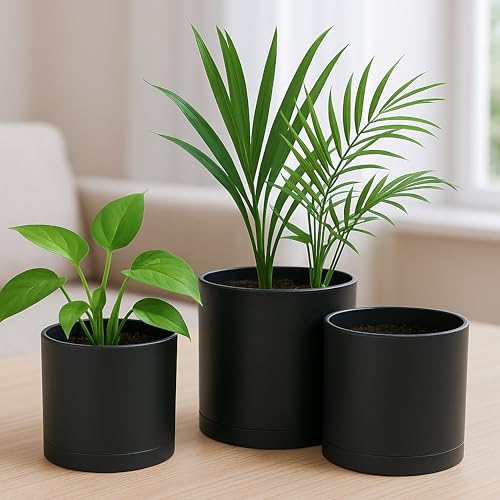 D'vine Dev 4 Inch 5 Inch 6 Inch, Set of 3 Plastic Planter Pots for Plants with Drainage Hole and Seamless Saucers, Black Color, Small, 74-V-B-1 - Image 4