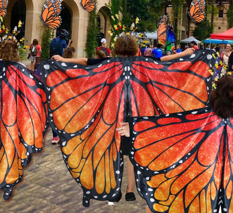 D.Q.Z Double Sided Women Butterfly Wings Costumes for Adults Fairy Festival Dress Up with Headband Halloween Party (Flame Orange) - Image 3