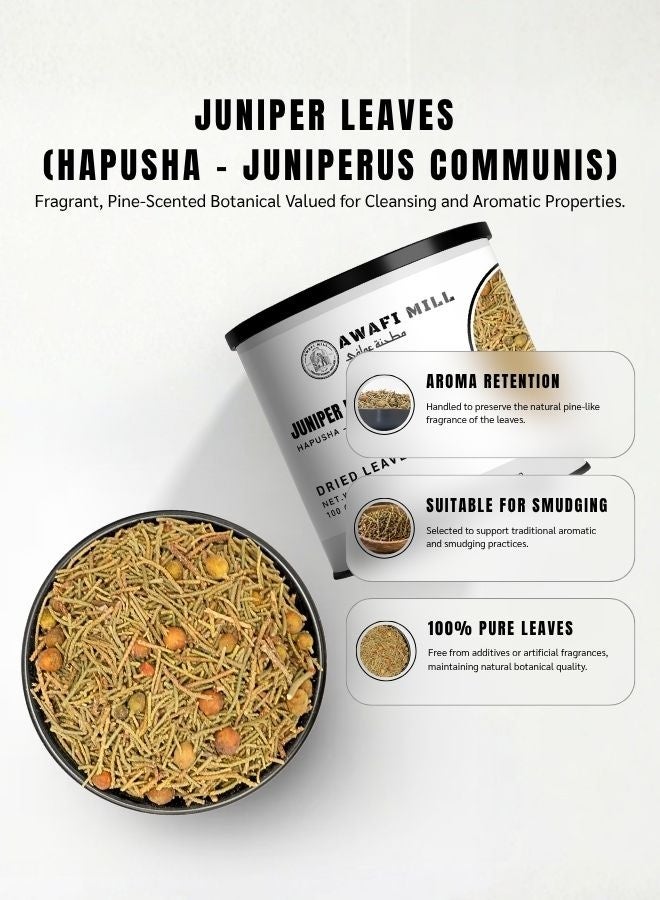 AWAFI MILL Juniper Leaves - Moroccan Maghribi Harvested - Premium Quality - Aromatic and Flavorful - Culinary and Wellness Essential - 100 g | 3.5 Oz - Image 5