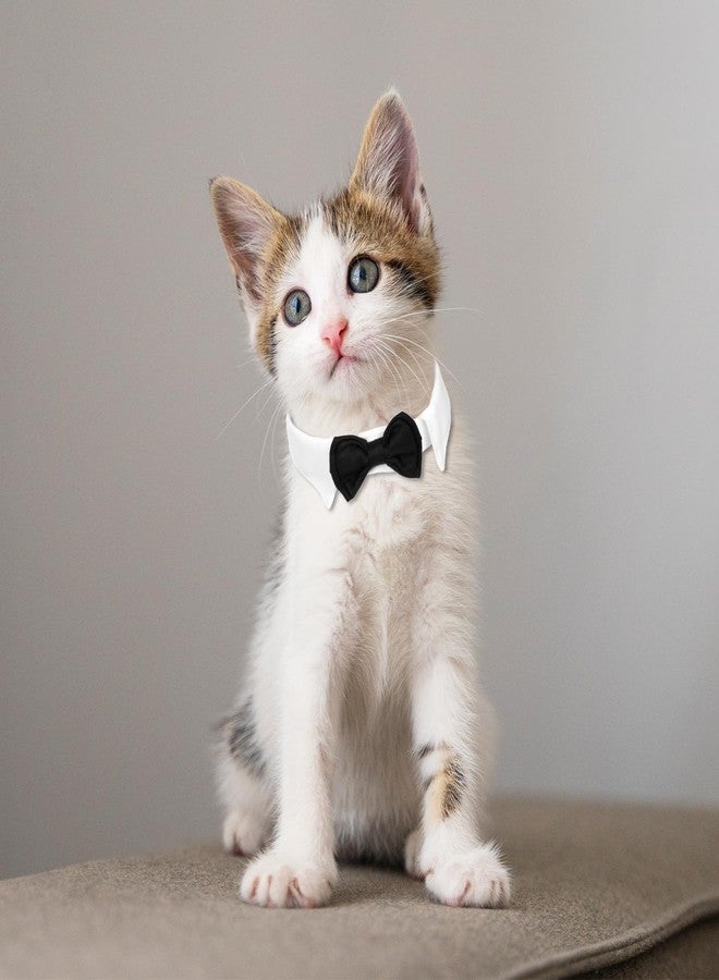 Hariendny 3 Pieces Dog Cat Bow Tie Adjustable Pet Neck Costume Puppy Pets Formal Necktie Collars Cat Dog Tie for Cats Small Puppy Grooming Accessories - Image 4